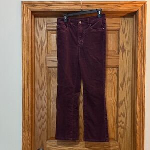 Ann Taylor Burgundy Velvet Pants